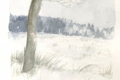 ilustrace-Brdy-Padrťské-rybníky-3