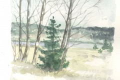 ilustrace-Brdy-Padrťské-rybníky-6