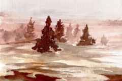 ilustrace-ke-knize-Šumava